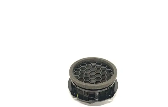 Rear door speaker