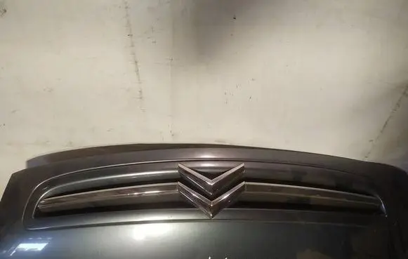 Citroen Xsara Picasso Front grill