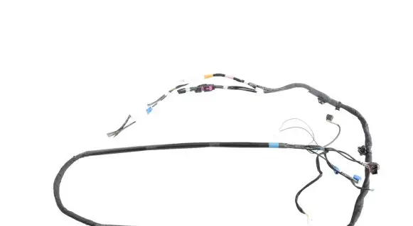 Tesla Model Y Other wiring loom 161669100C