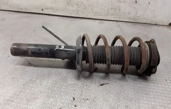 Seat Altea XL Front shock absorber with coil spring