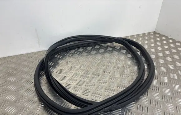 BMW 2 F46 Rear door rubber seal (on body) 7316818