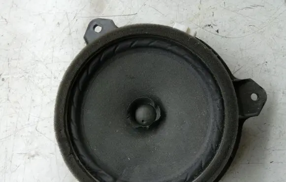 Rear door speaker