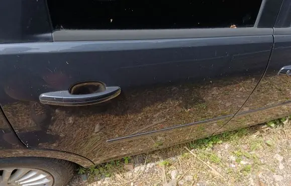 Ford C-MAX I Rear door