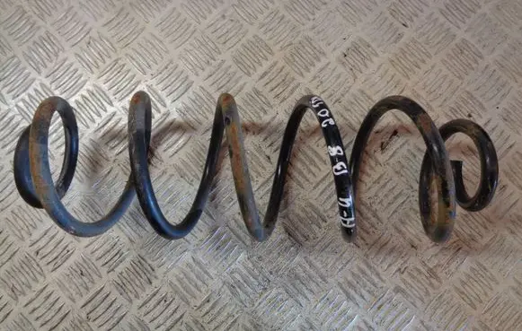 Rear coil spring