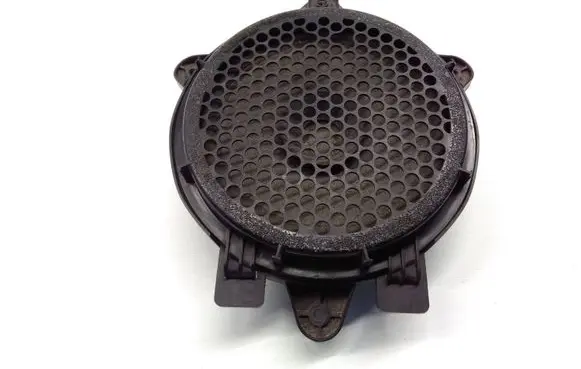 Rear door speaker