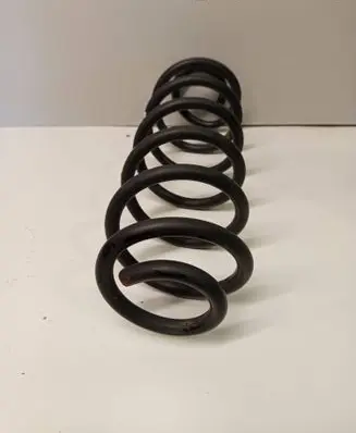Rear coil spring