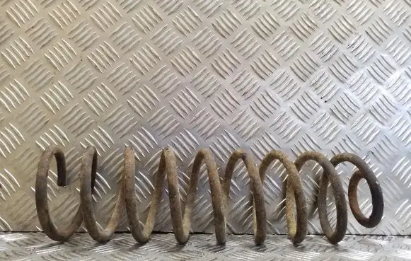 Rear coil spring