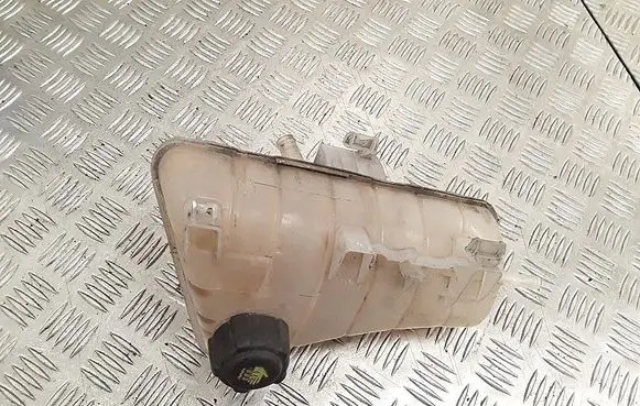 Renault Kangoo II Coolant expansion tank/reservoir 8200455786