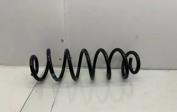 Rear coil spring