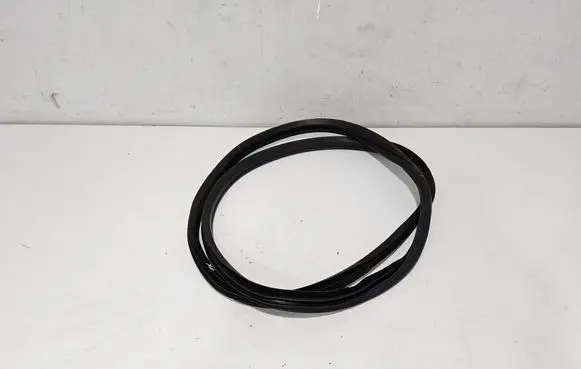 Fiat Tipo Front door rubber seal 52102247