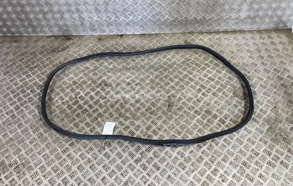 BMW X3 G01 Rear door rubber seal (on body) 7393449