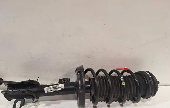 Fiat Punto Evo Front shock absorber/damper 51865489