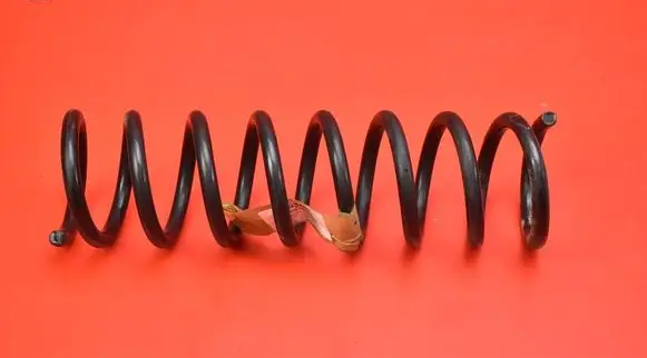 Ford Kuga II Rear coil spring