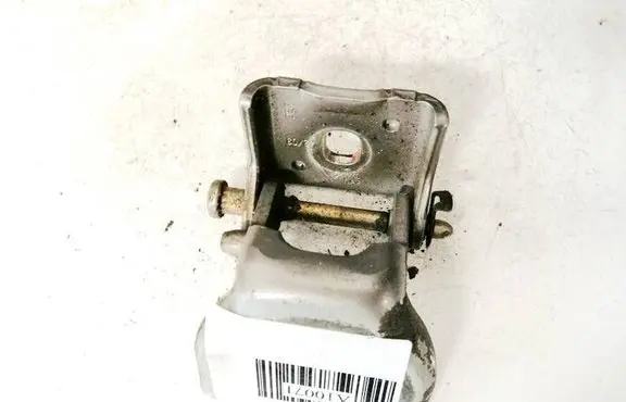 Peugeot 307 Rear door lower hinge