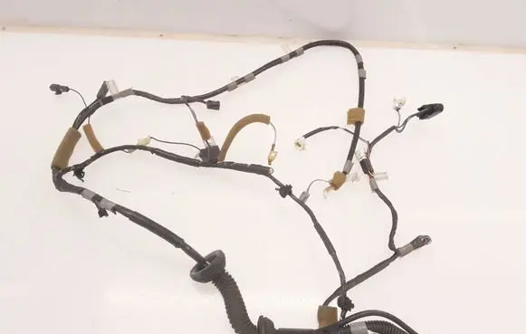 Toyota RAV 4 (XA20) Tailgate/trunk wiring harness 8218442220C