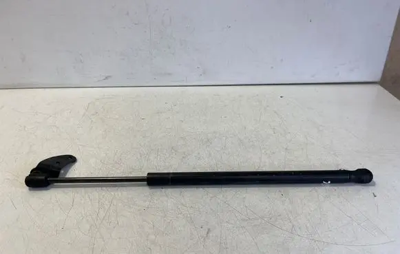 Tesla Model S Front bonnet/hood damper/strut 106263400A