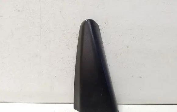 Other rear door trim element