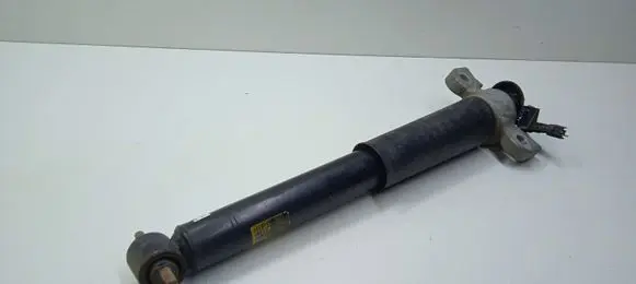 Ford Mustang VI Rear shock absorber/damper KR3C18W003
