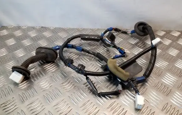 Toyota Land Cruiser (J120) Rear door wiring loom
