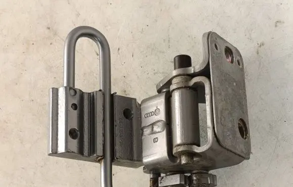Rear door lower hinge
