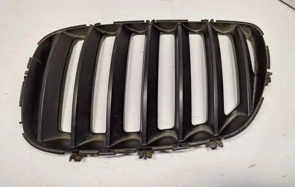 BMW X5 E53 Front grill 51137113733