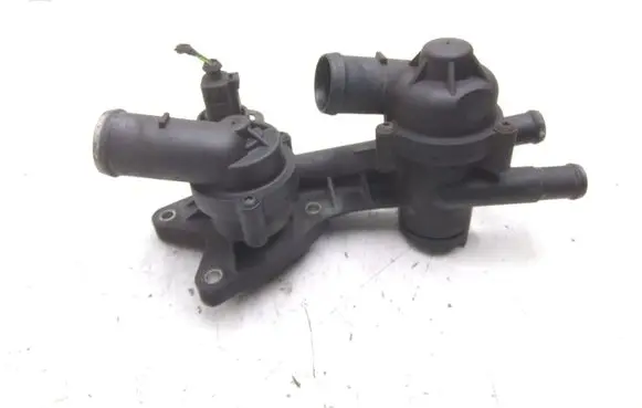 Thermostat/thermostat housing