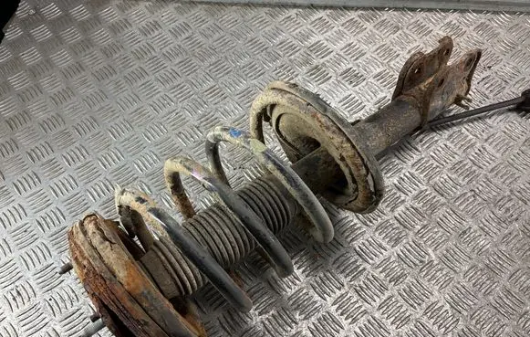 Hyundai Santa Fe Front shock absorber with coil spring