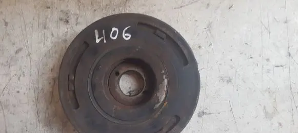 Peugeot 406 Crankshaft pulley