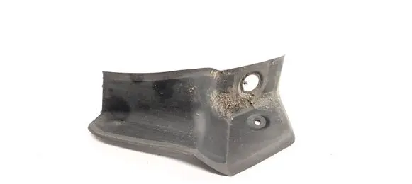 Rear/tail light trim molding