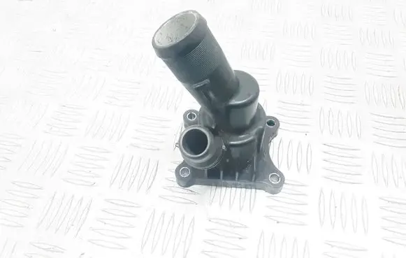 Thermostat/thermostat housing