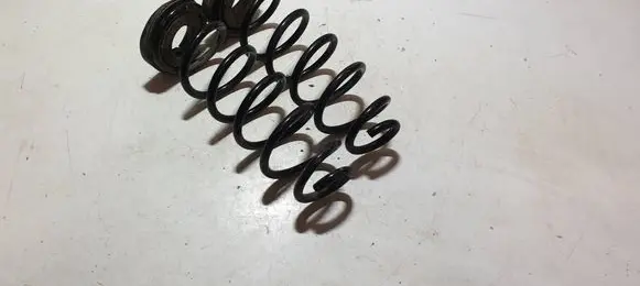 Rear coil spring