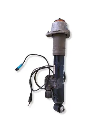 BMW X5 E70 Rear shock absorber/damper 6794541