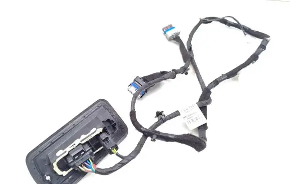 Peugeot 1007 Sliding door wiring loom 9657304880