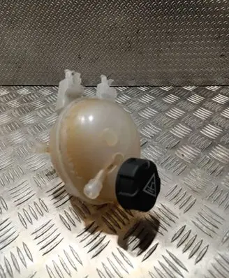 Peugeot Expert Coolant expansion tank/reservoir 9821049380