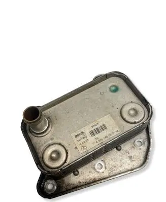 Jeep Grand Cherokee (WJ) Oil filter mounting bracket A6111880301 97925