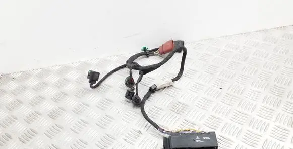 Audi Q5 SQ5 Other wiring loom 8R0971765