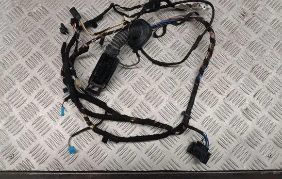 BMW X1 F48 F49 Front door wiring loom 9384571