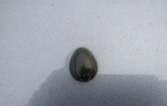 Renault Scenic I Windshield washer spray nozzle 
