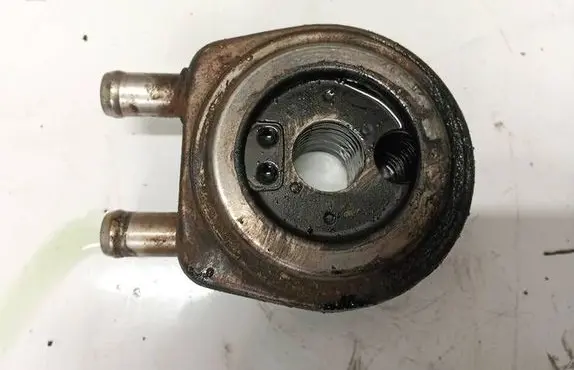 Suzuki Grand Vitara II Engine oil radiator 