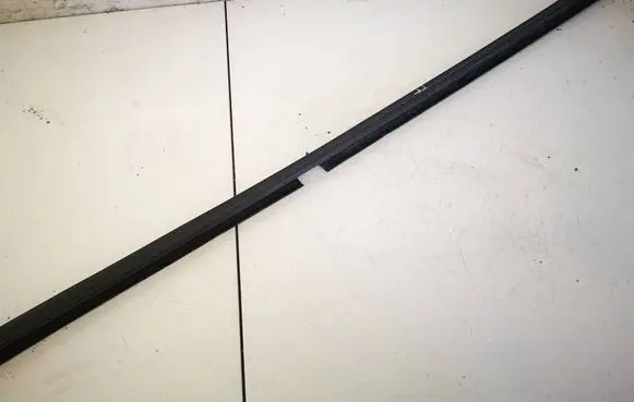 Renault Scenic II - Grand scenic II Front door glass trim molding 