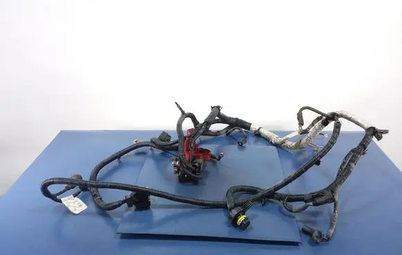 Ford Mustang V Other wiring loom DR3T-14B060-AC