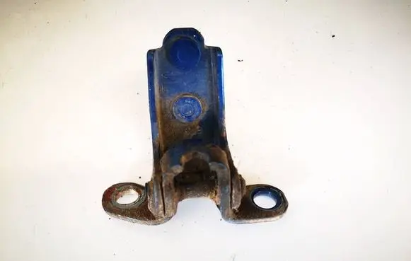 Rear door lower hinge
