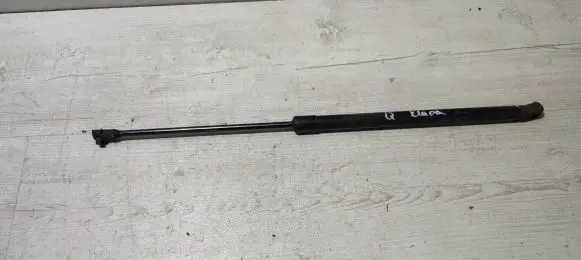 Nissan Qashqai Tailgate strut 904504EA0A 01680051