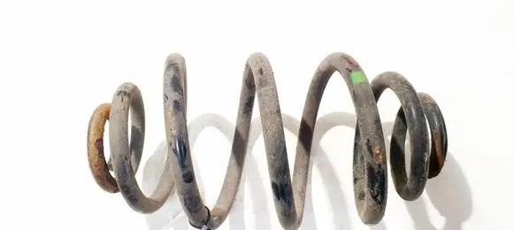 Volkswagen PASSAT B5 Rear coil spring