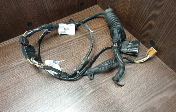 Front door wiring loom
