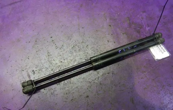 Tailgate strut