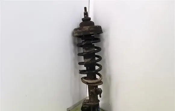 Opel Vivaro Front shock absorber with coil spring 