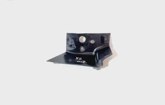 Rear/tail light trim molding