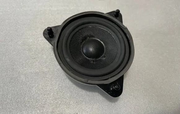 Front door speaker