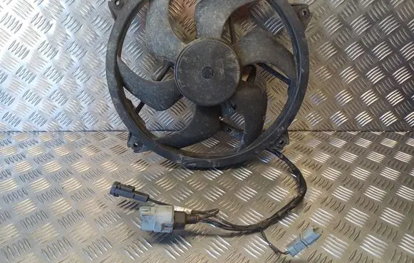 Citroen C5 Electric radiator cooling fan 1831504016 193051233